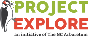 PELogo_tagline_Medium-300x125